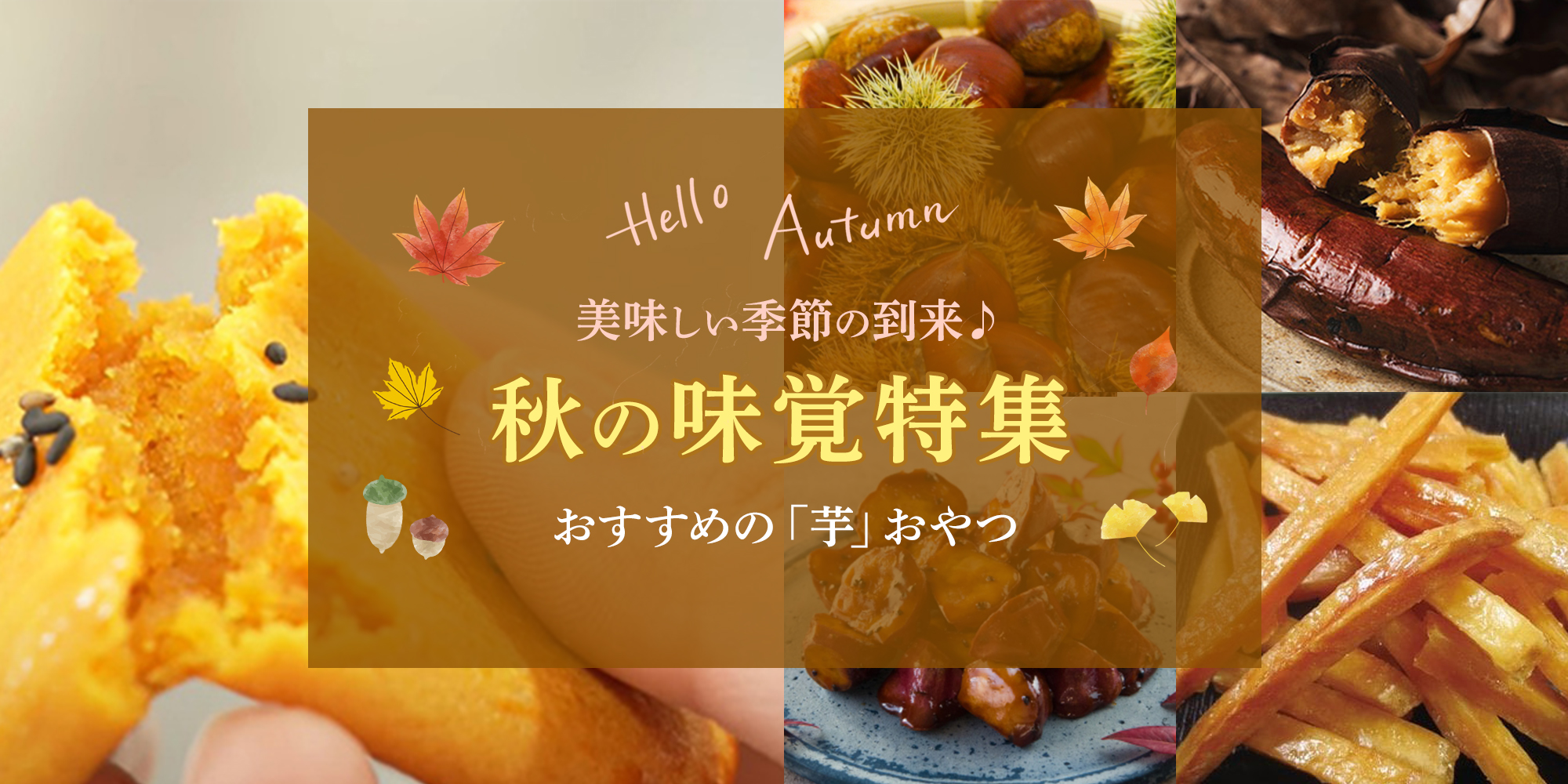 秋の味覚特集