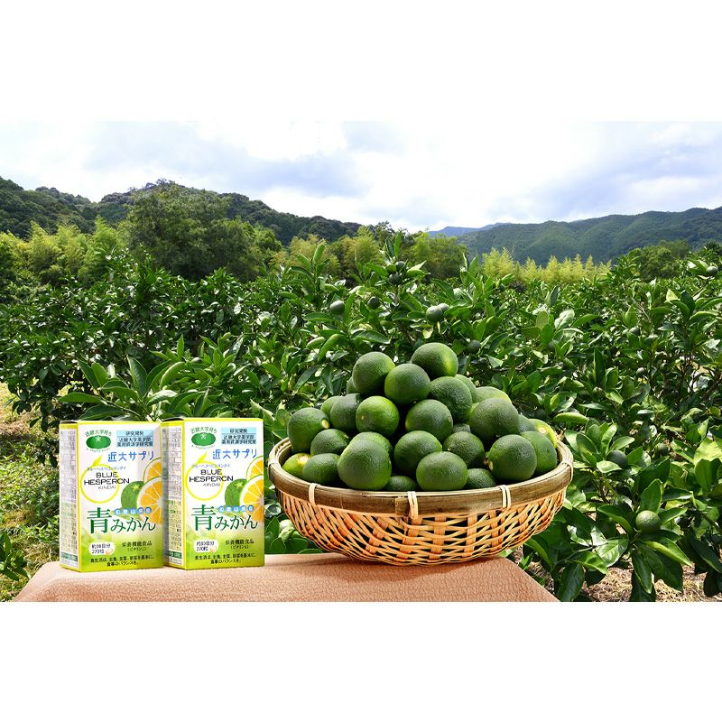 近大サプリ 青みかん 270粒